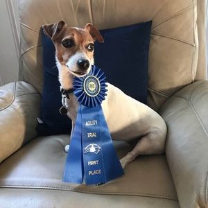 Meet your Posher, Judith